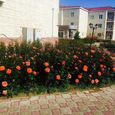 Hotel Ark Ms Taraz Exterior foto