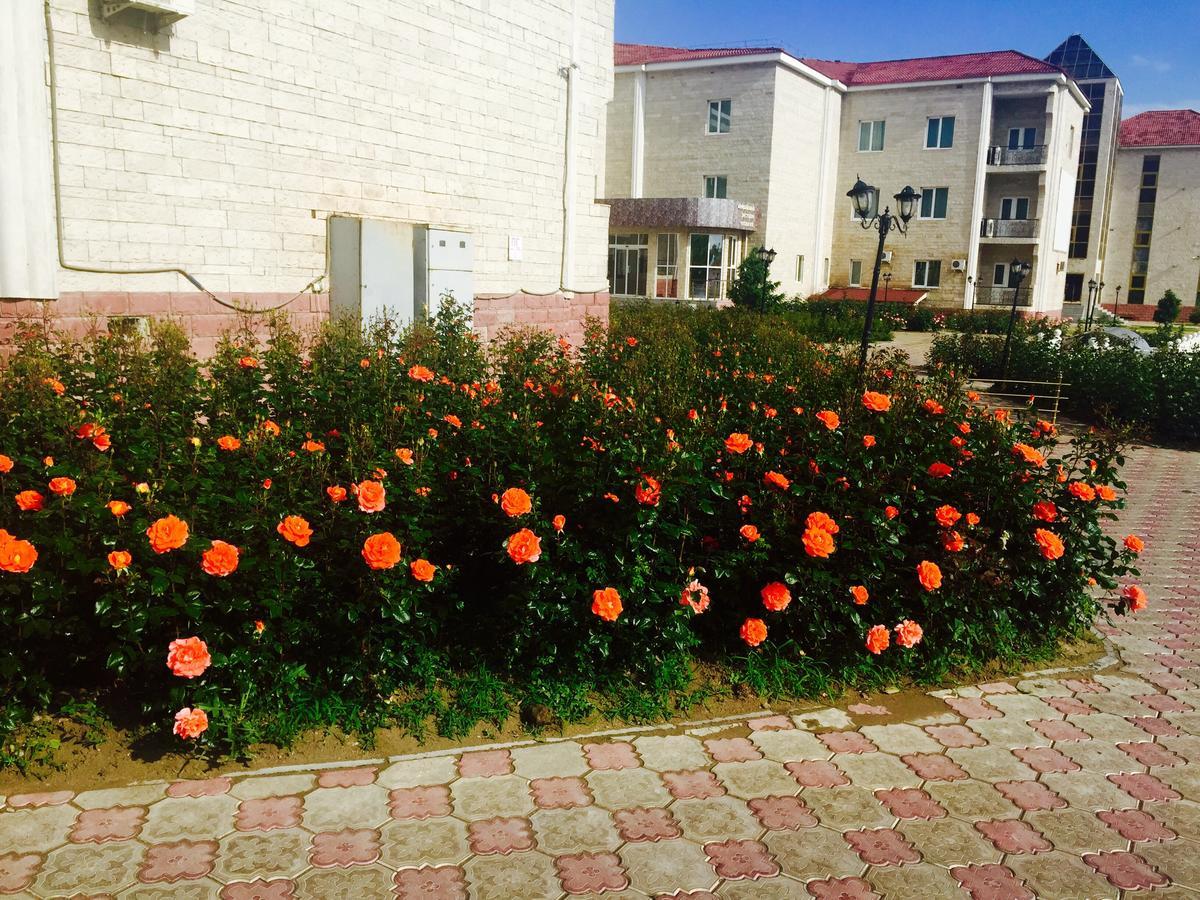 Hotel Ark Ms Taraz Exterior foto