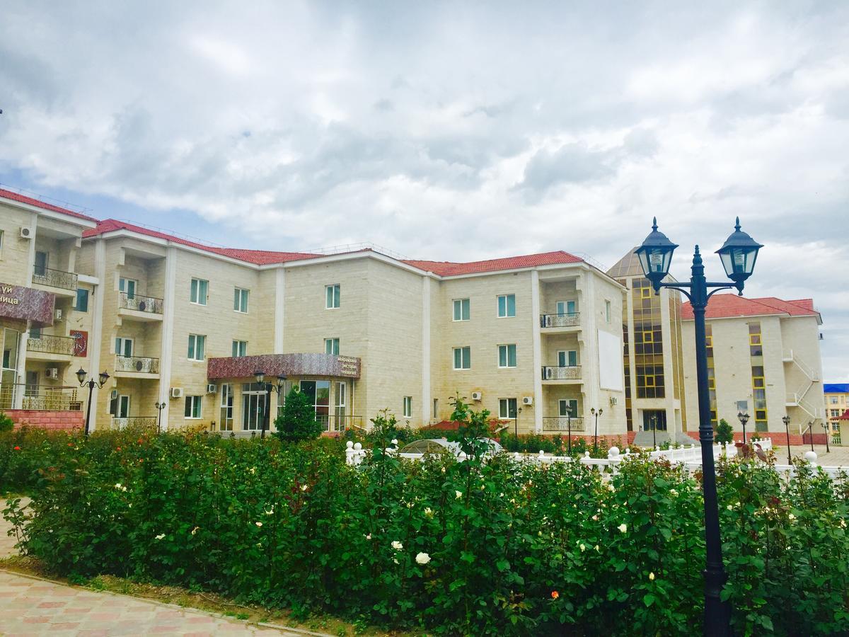Hotel Ark Ms Taraz Exterior foto