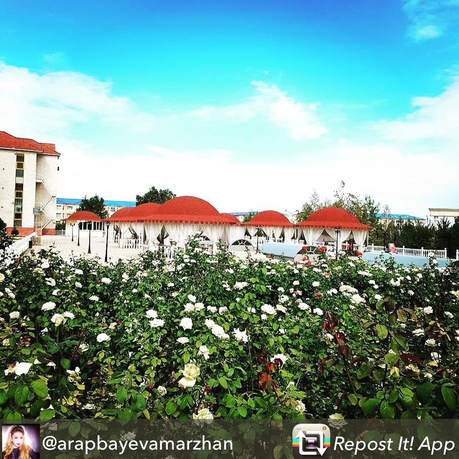 Hotel Ark Ms Taraz Exterior foto