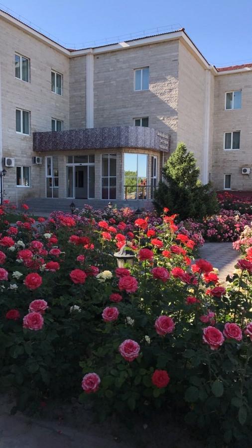 Hotel Ark Ms Taraz Exterior foto